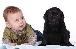 Puppy and baby - Parasite Control