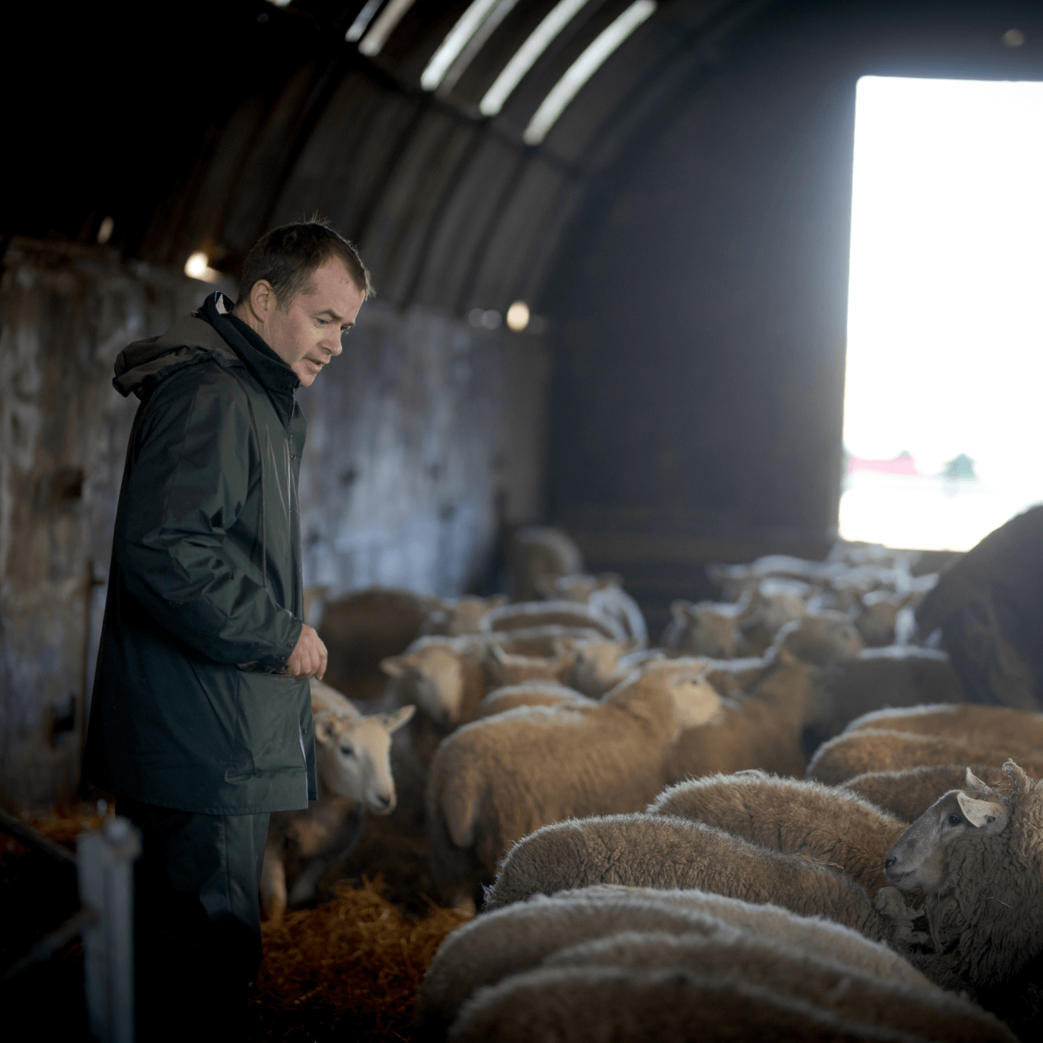 Northvet: Alan at the farm