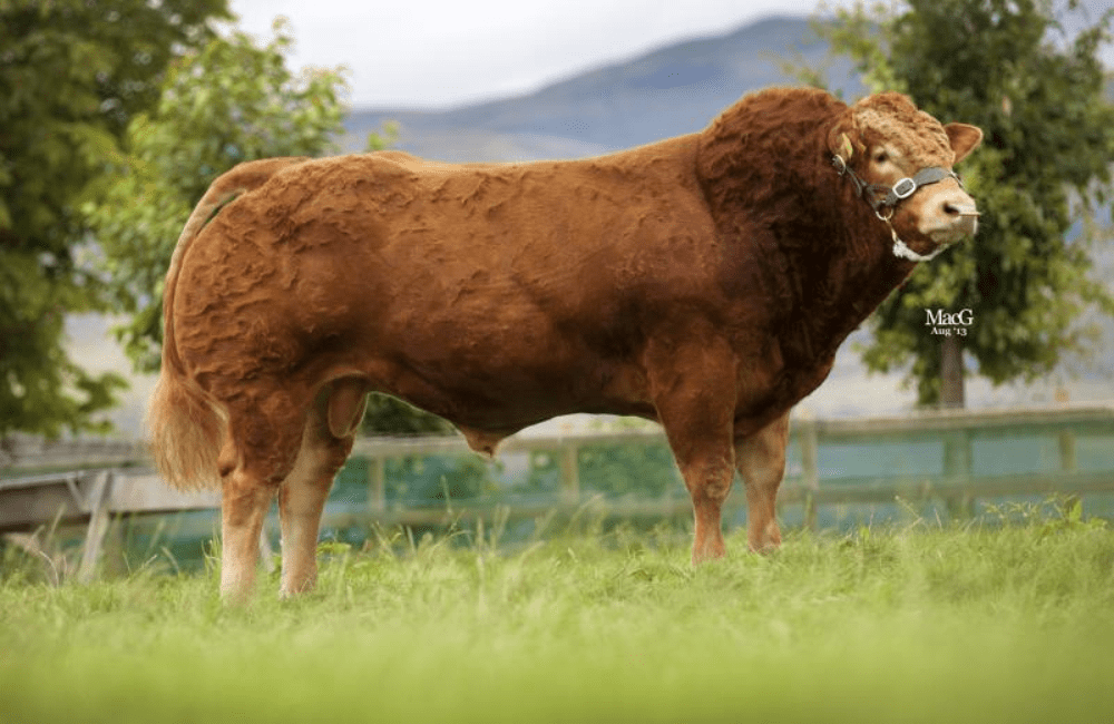 Limousin: Lodge Hamlet