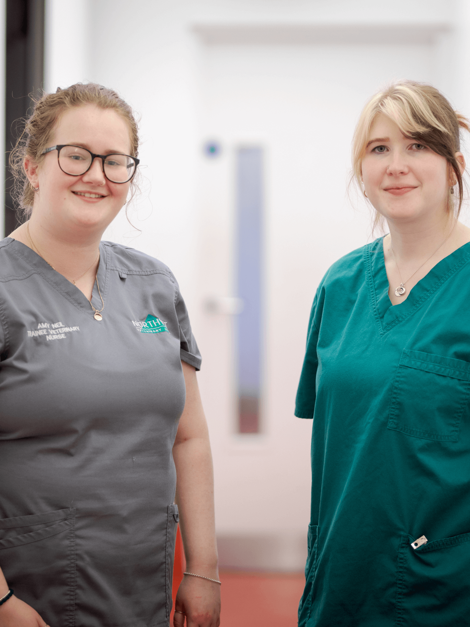 Northvet team members