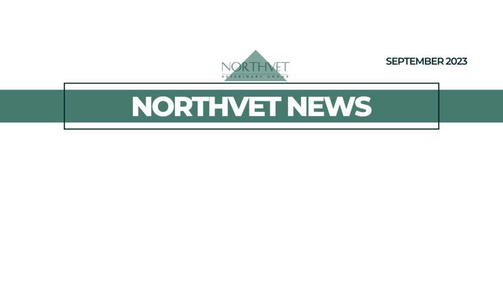 Northvet News September 2023